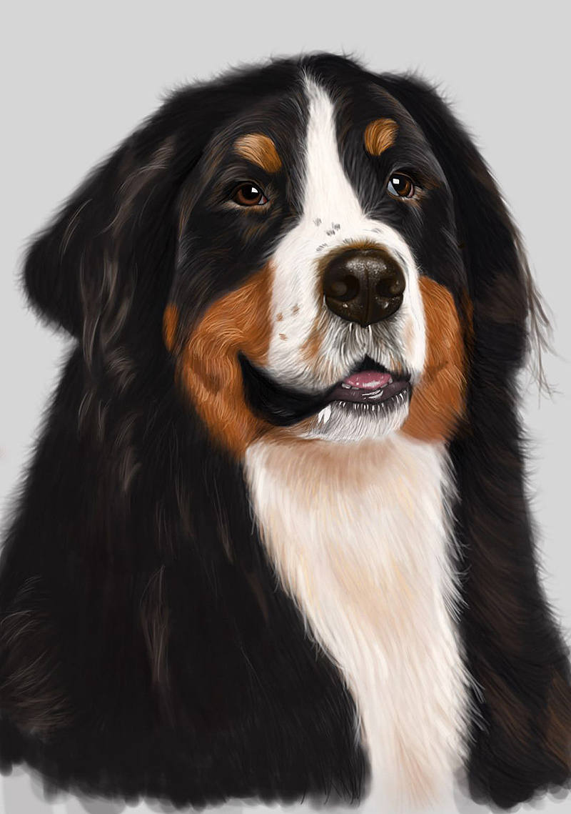 组猫猫狗狗,很是喜欢,随便挑了一张,突然有了画意~~还是厚涂的老方法