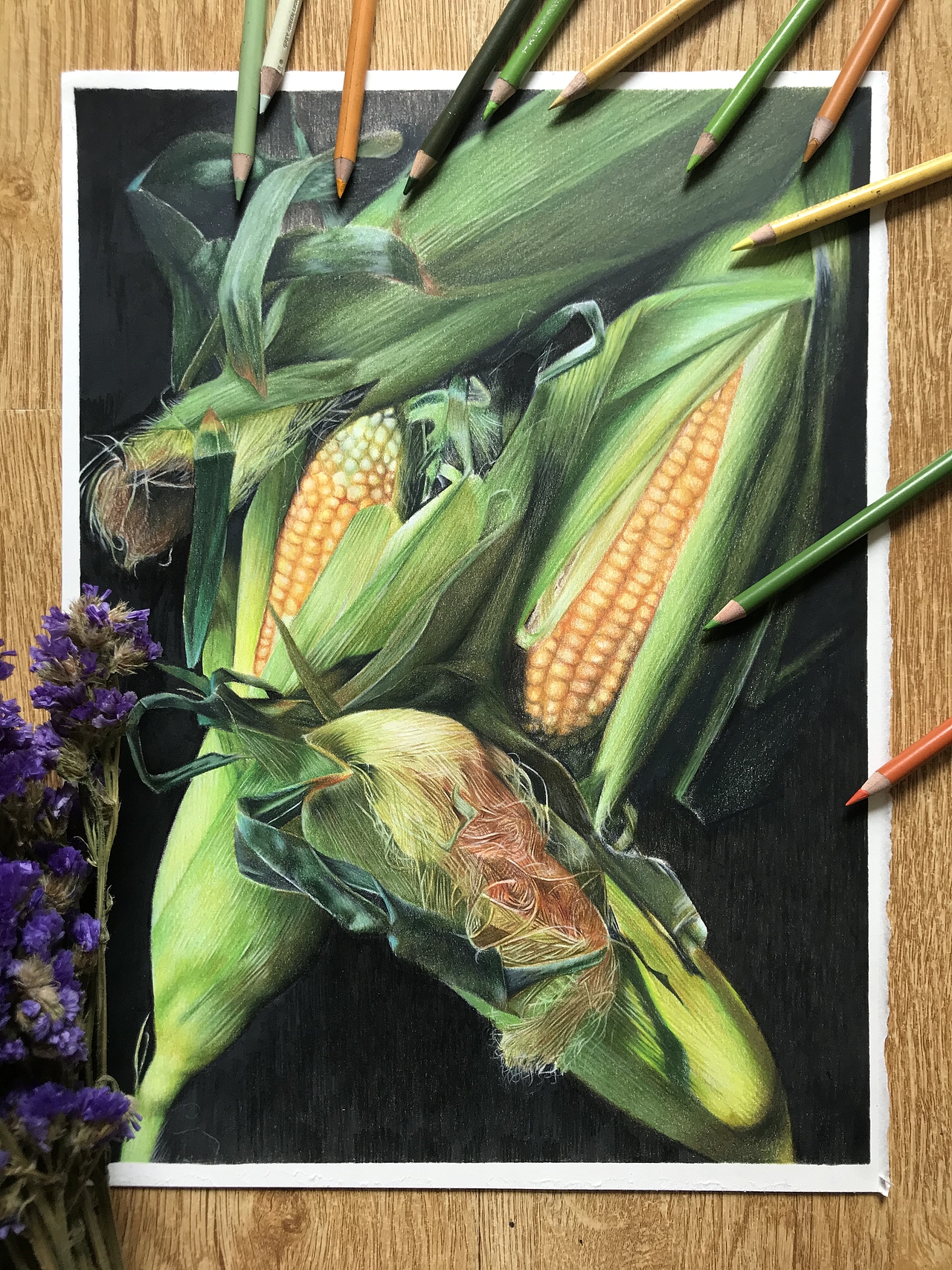 彩铅静物系列之玉米霹雳马偏写实风格附过程图