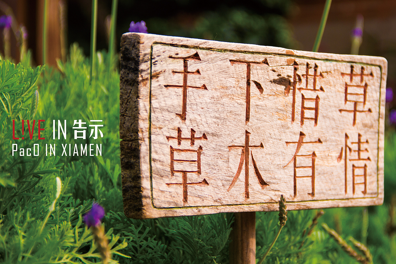 POSTCARD OF XIAMENG（图ZMTA5MzQ1MjQ=） - 其他平面 - 站酷设计师PacO_原创素材 - 站酷ZCOOL