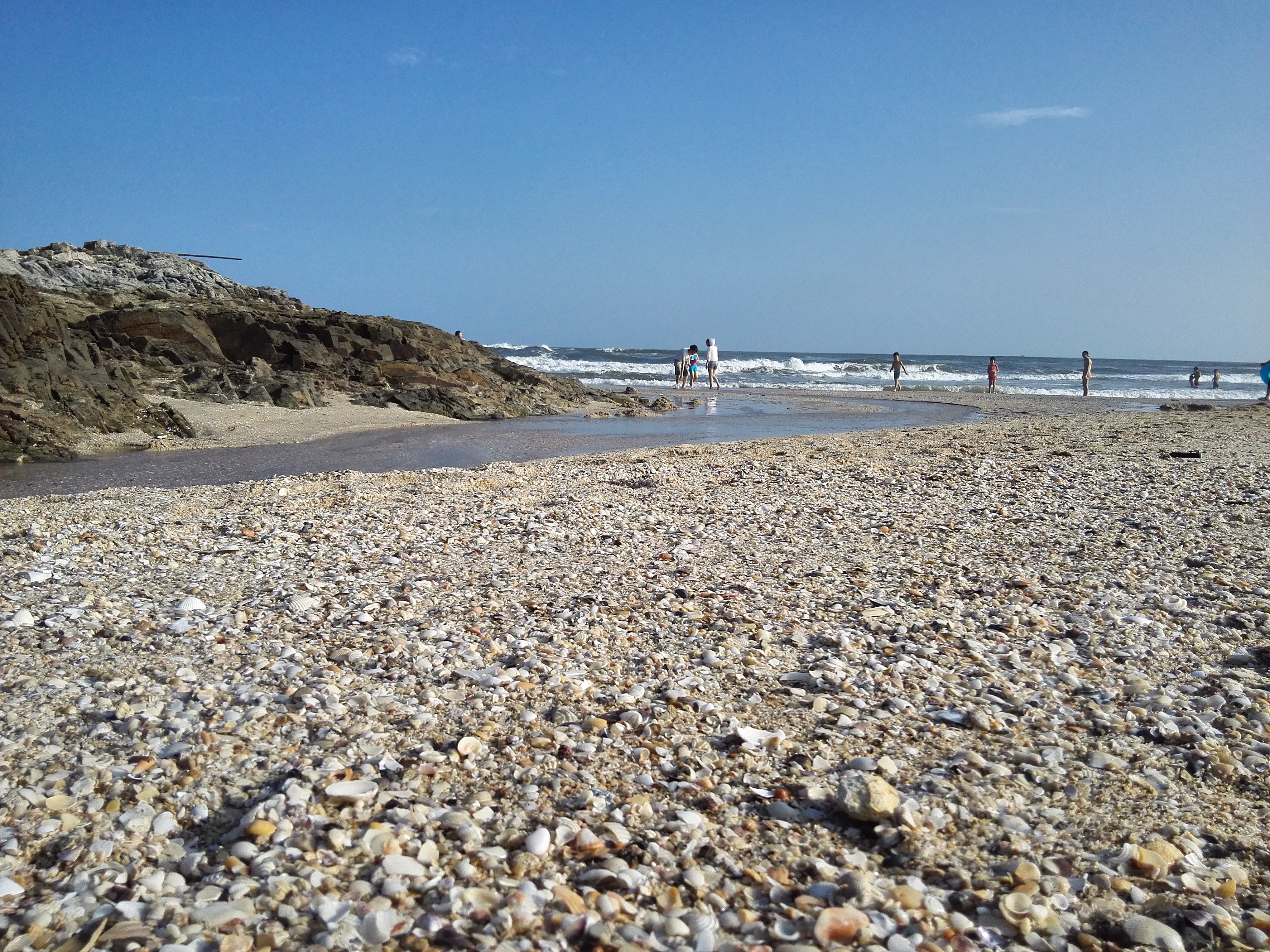 多了一片贝壳在手的沙滩海景