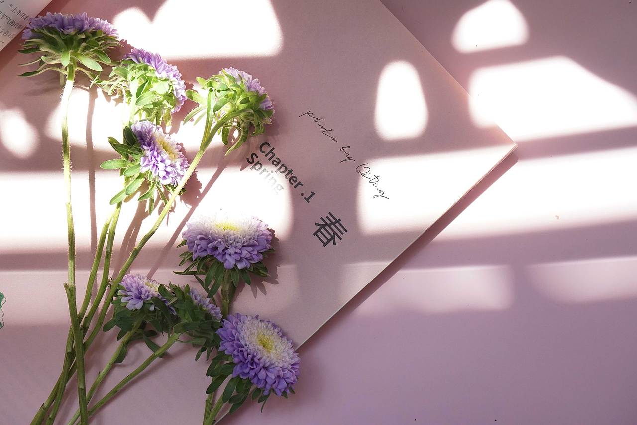 壁纸 | 紫菊的夏日（图ZMjEzMzU1NTE2） - 产品摄影 - 站酷设计师无厘头CRQ原创素材 - 站酷ZCOOL