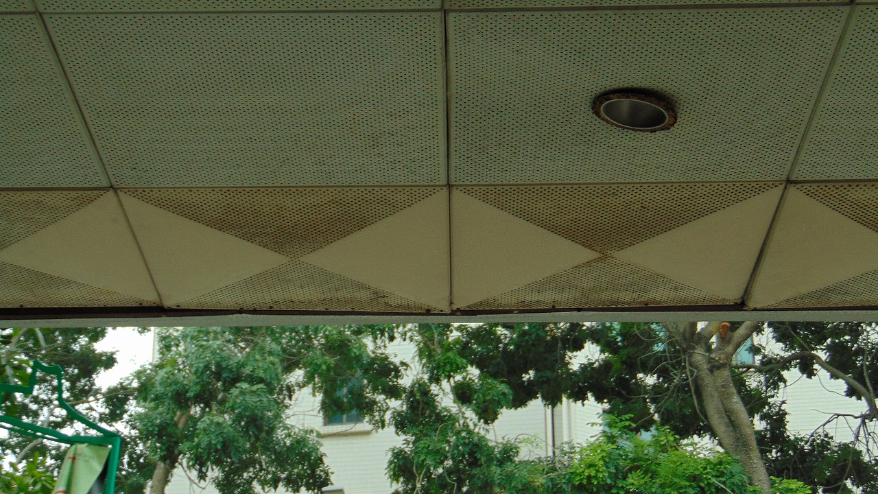 摄影2020..11.10(下)