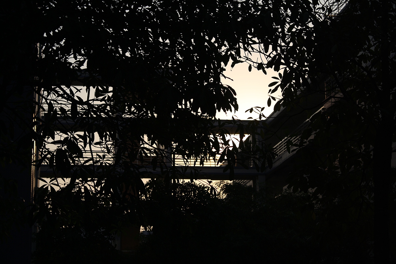 中山职业技术学院随影