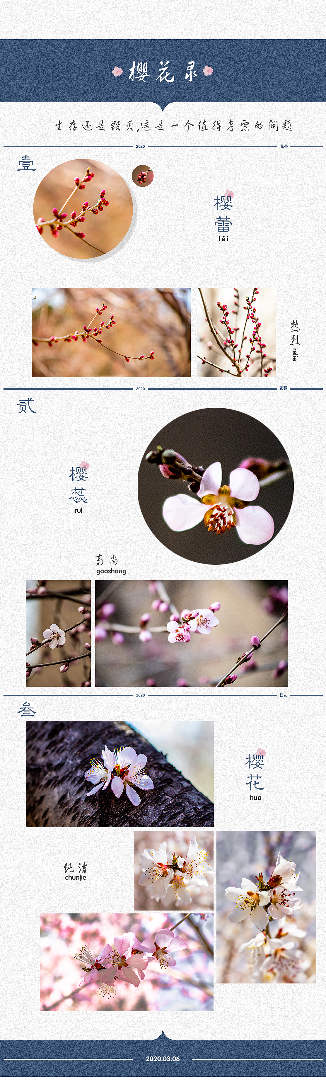 樱花录（图ZMjAxMDkxNjMy） - 产品摄影 - 站酷设计师钱斌原创素材 - 站酷ZCOOL