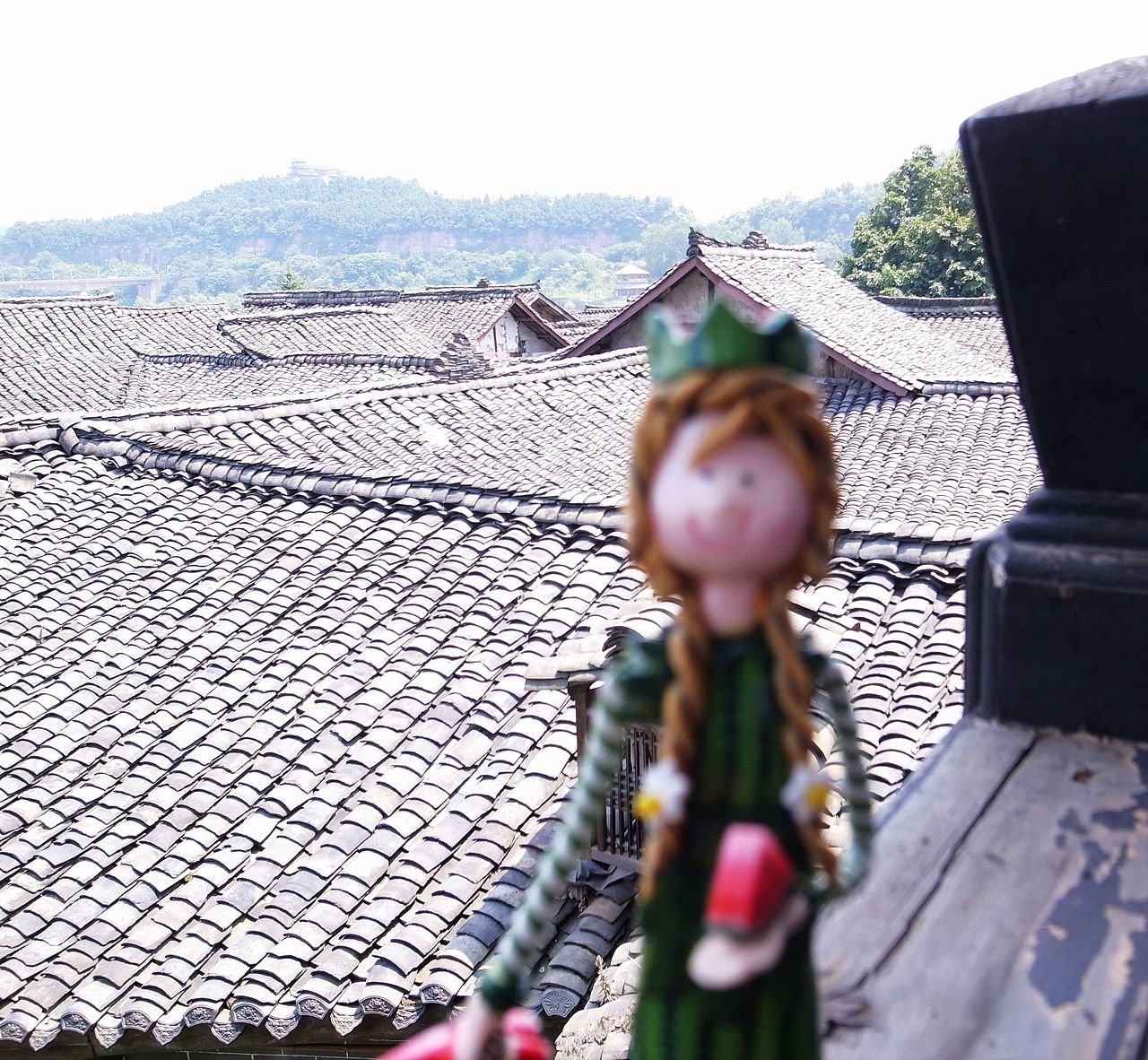 带着西瓜出门·