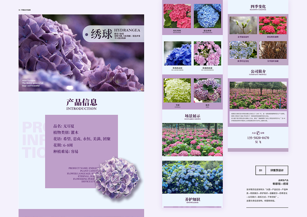 2019-2020平面设计作品集