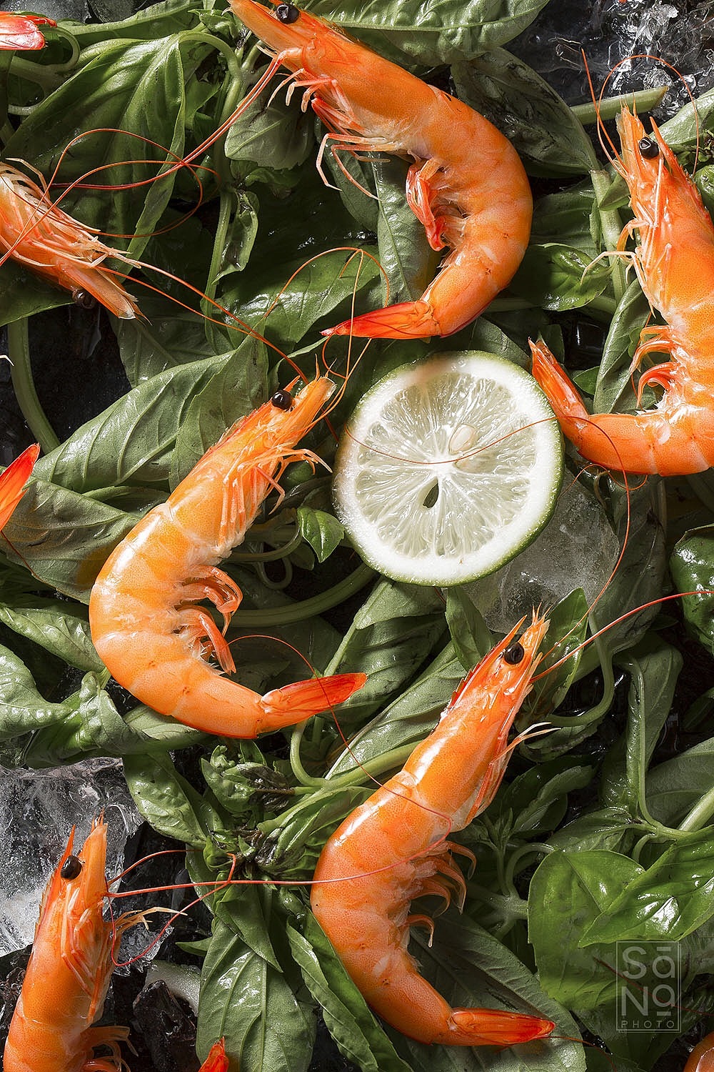 虾虾虾虾虾X生鲜拍摄