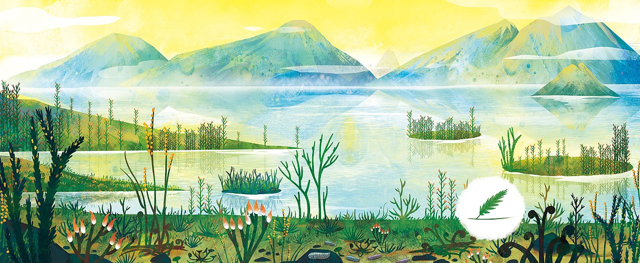 《穿越时空的自然博物馆》绘本合集