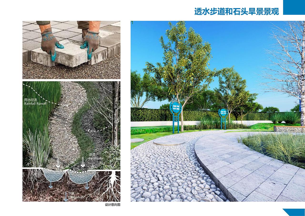 办公环境环境提升和雨水花园试验场地设计