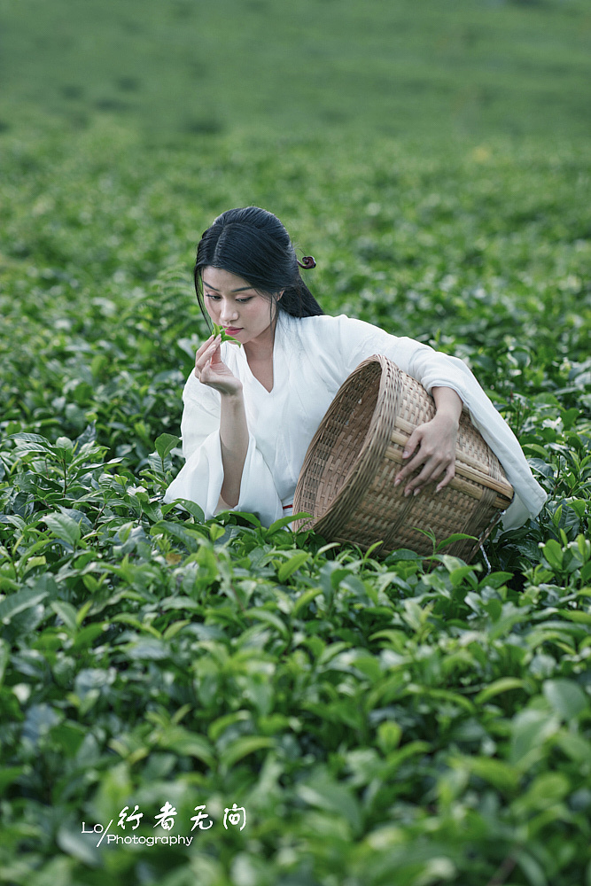 茶园&秋语|摄影|人像摄影|罗玲荣 - 原创作品 - 站酷 (zcool)
