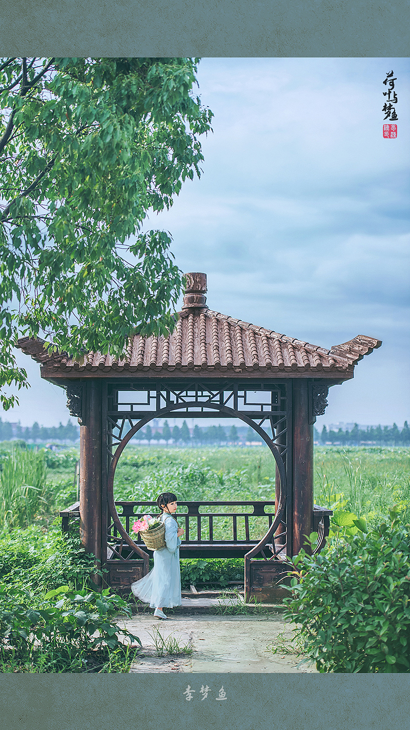 采莲姑娘（图ZMjY1MzE3NDQ4） - 人像摄影 - 站酷设计师腰果虾仁原创素材 - 站酷ZCOOL