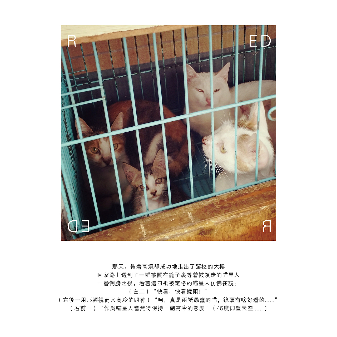 她用手机记录生活