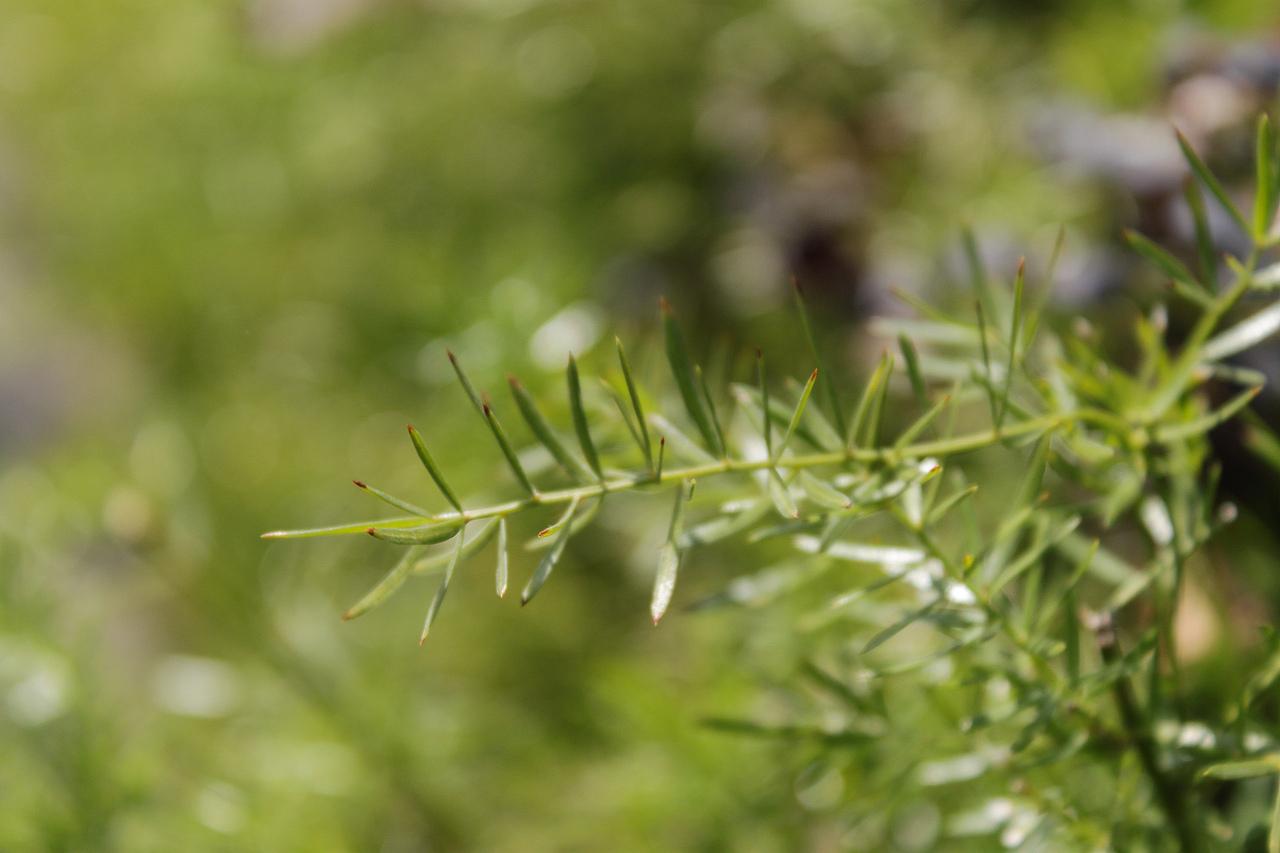 冬日深圳-街头随拍（图ZMTM3NjczNjA=） - 环境/建筑摄影 - 站酷设计师sundyme原创素材 - 站酷ZCOOL