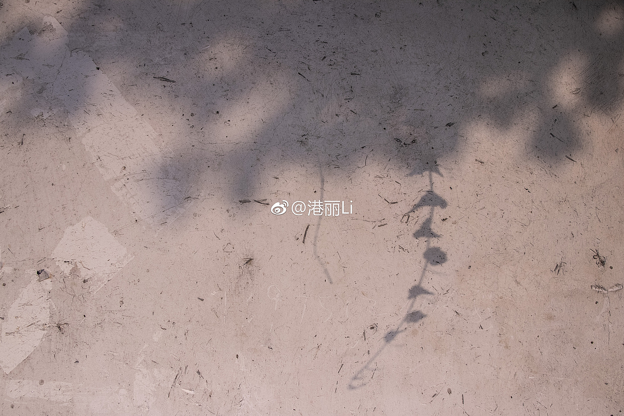 《“光”与“影”》