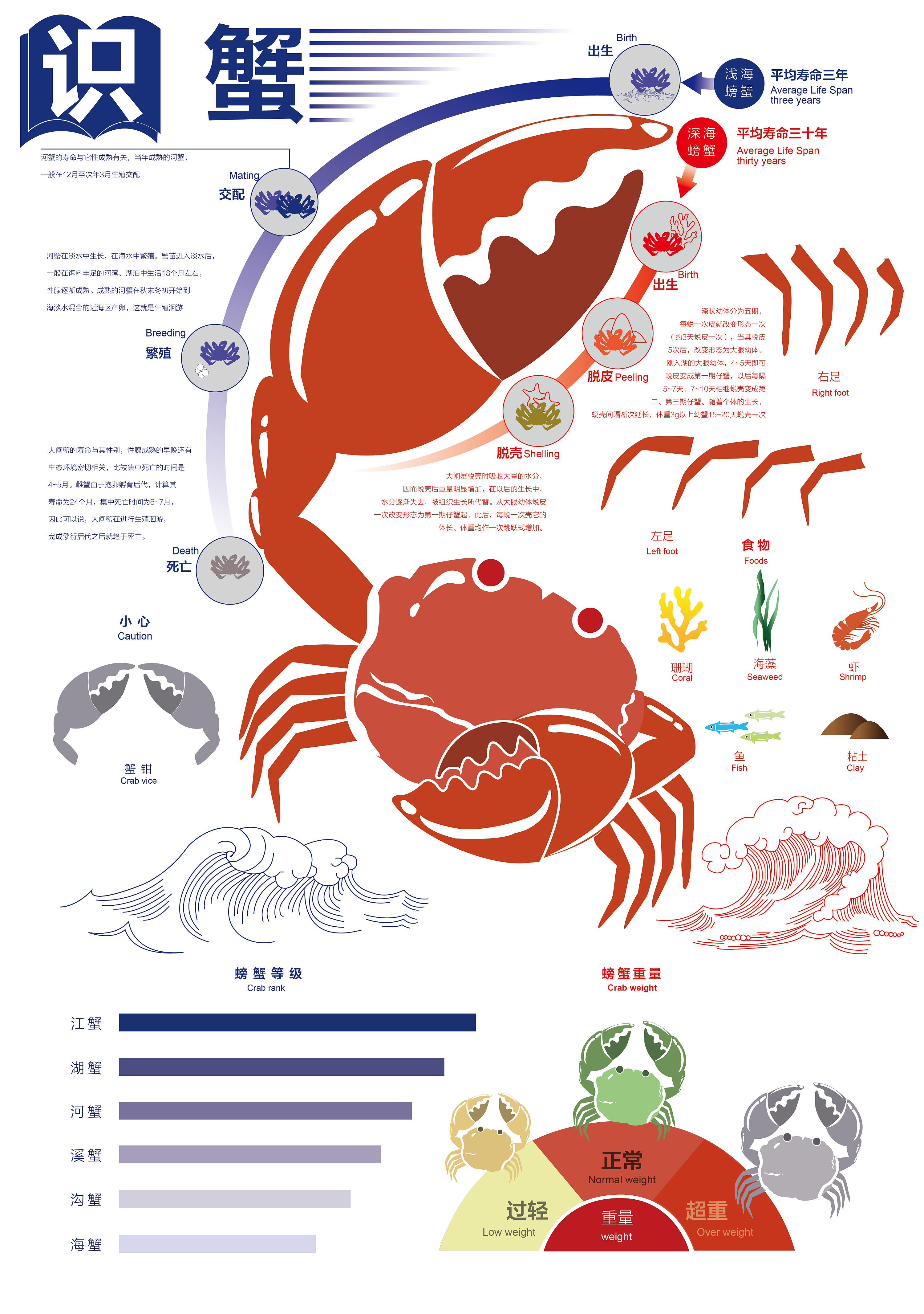 八足——螃蟹品牌形象设计
