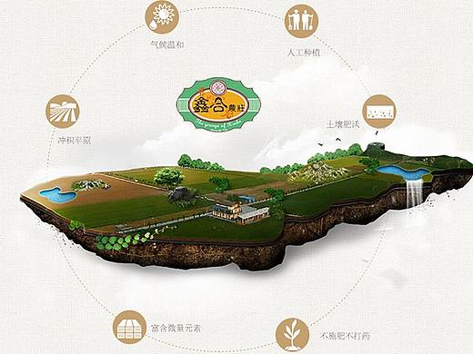 铁棍山药电商店铺首页及详情页