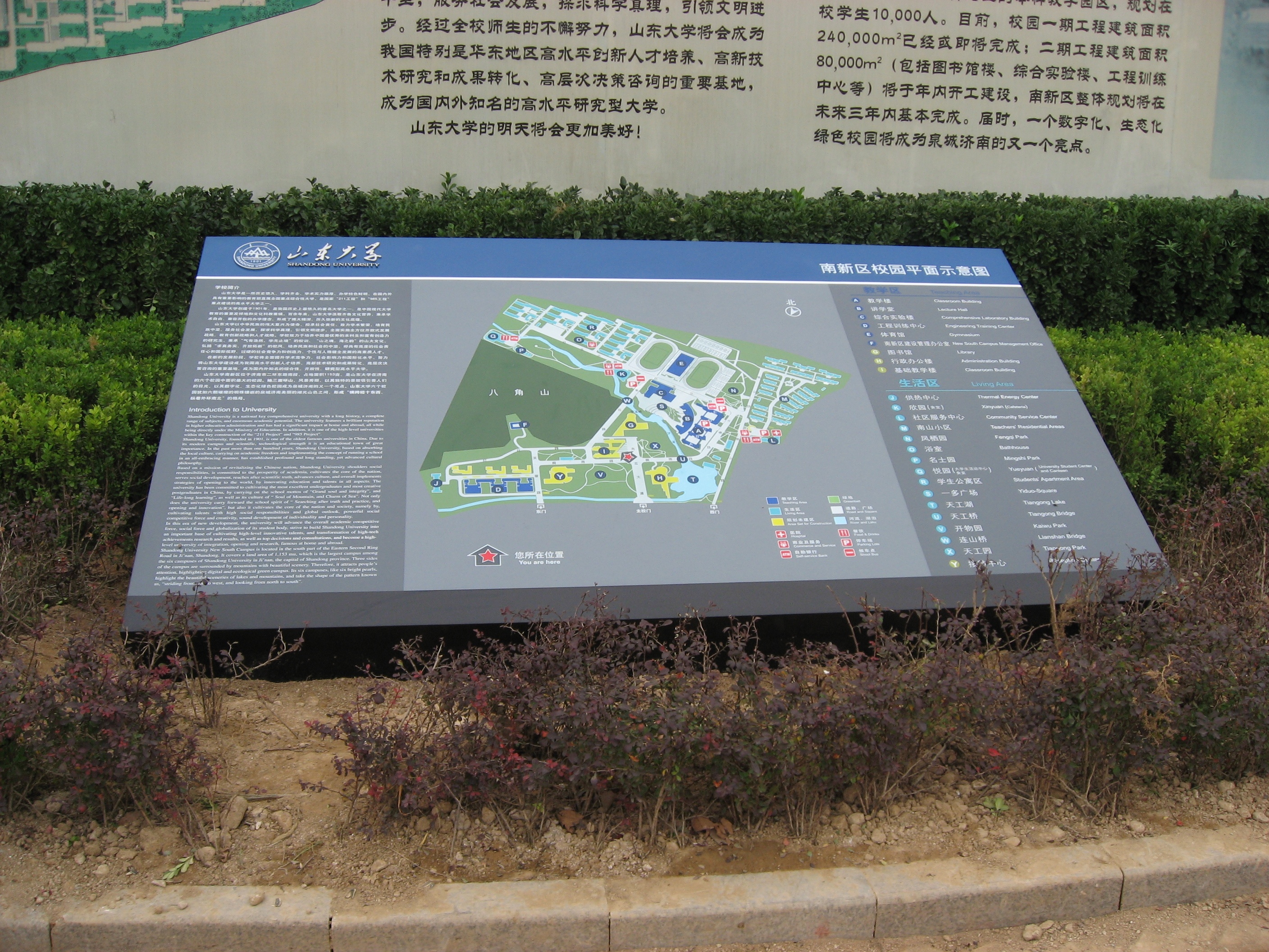 山东大学部分导视