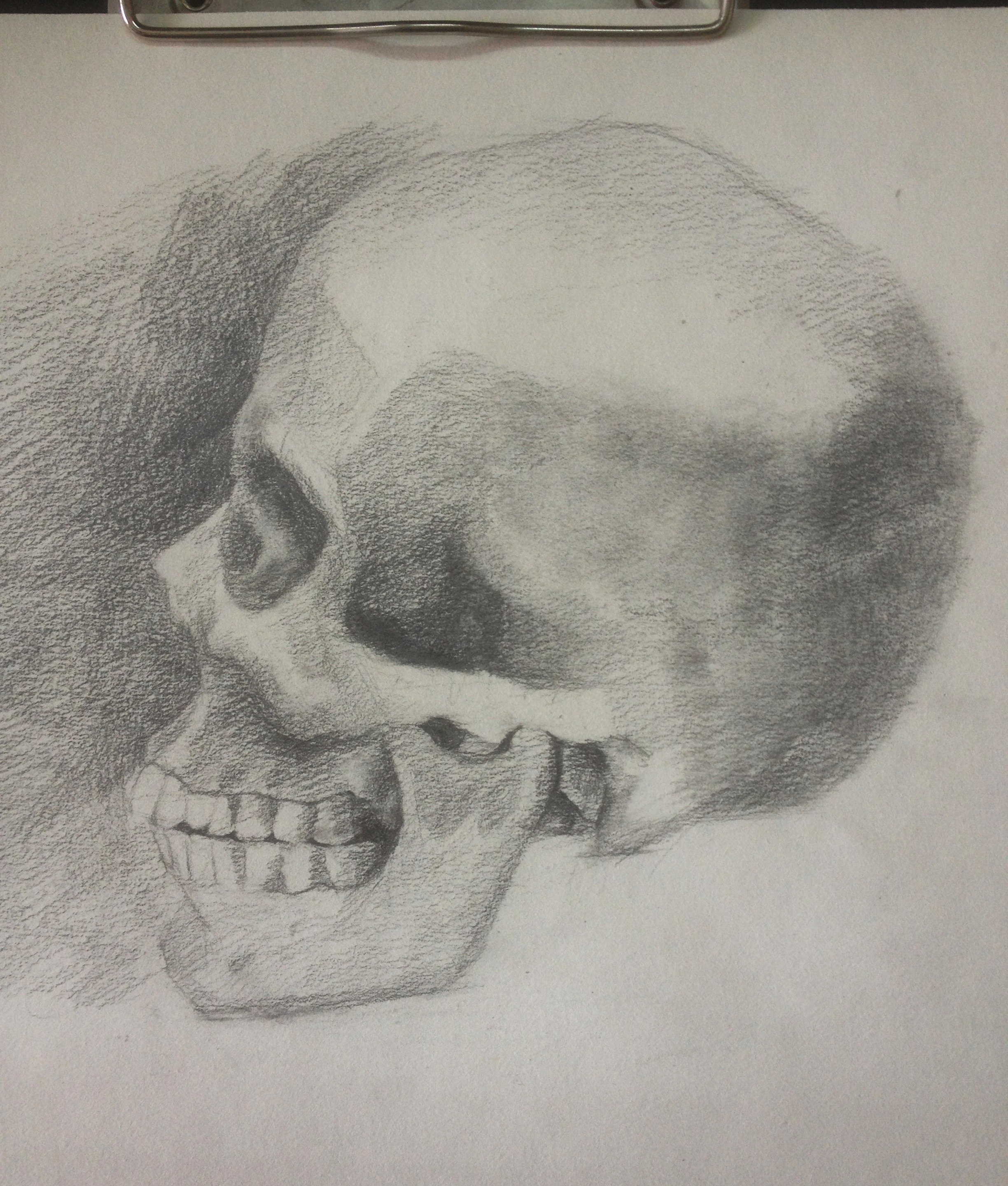 头骨研究-带过程|纯艺术|素描|fx2015 - 原创作品 - 站酷 (zcool)