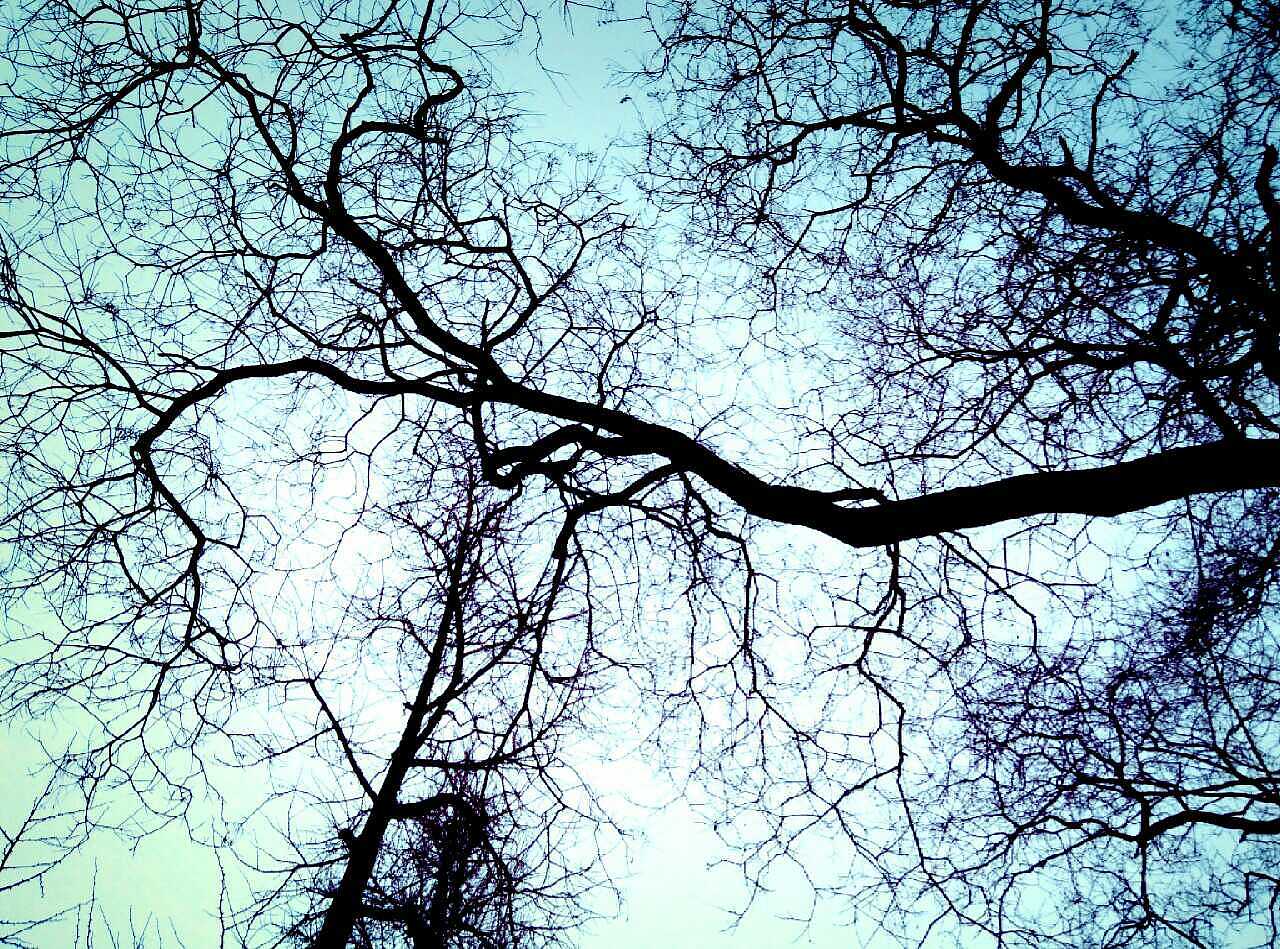 下班路上（图ZNTY2NzE3NDg=） - 风光摄影 - 站酷设计师AILLNA原创素材 - 站酷ZCOOL