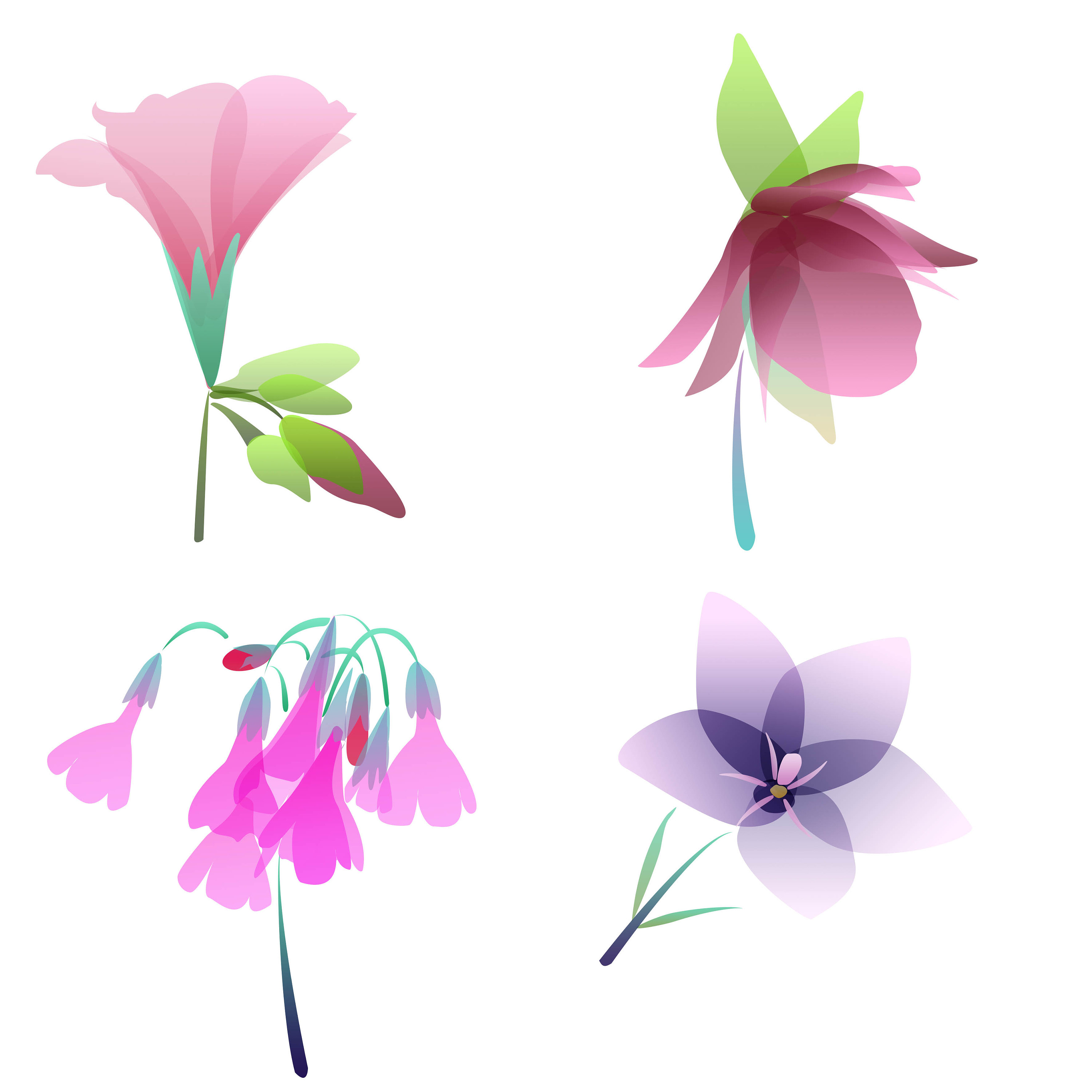 在水彩纸上插一束美丽的花儿。|插画|商业插画|苏木_Summer - 原创作品 - 站酷 (ZCOOL)