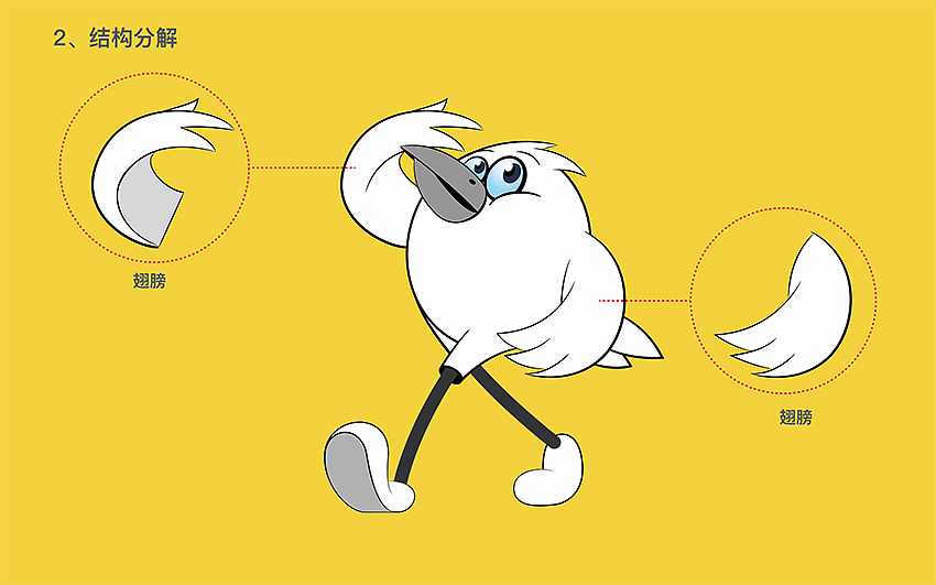 一个鸟人的诞生