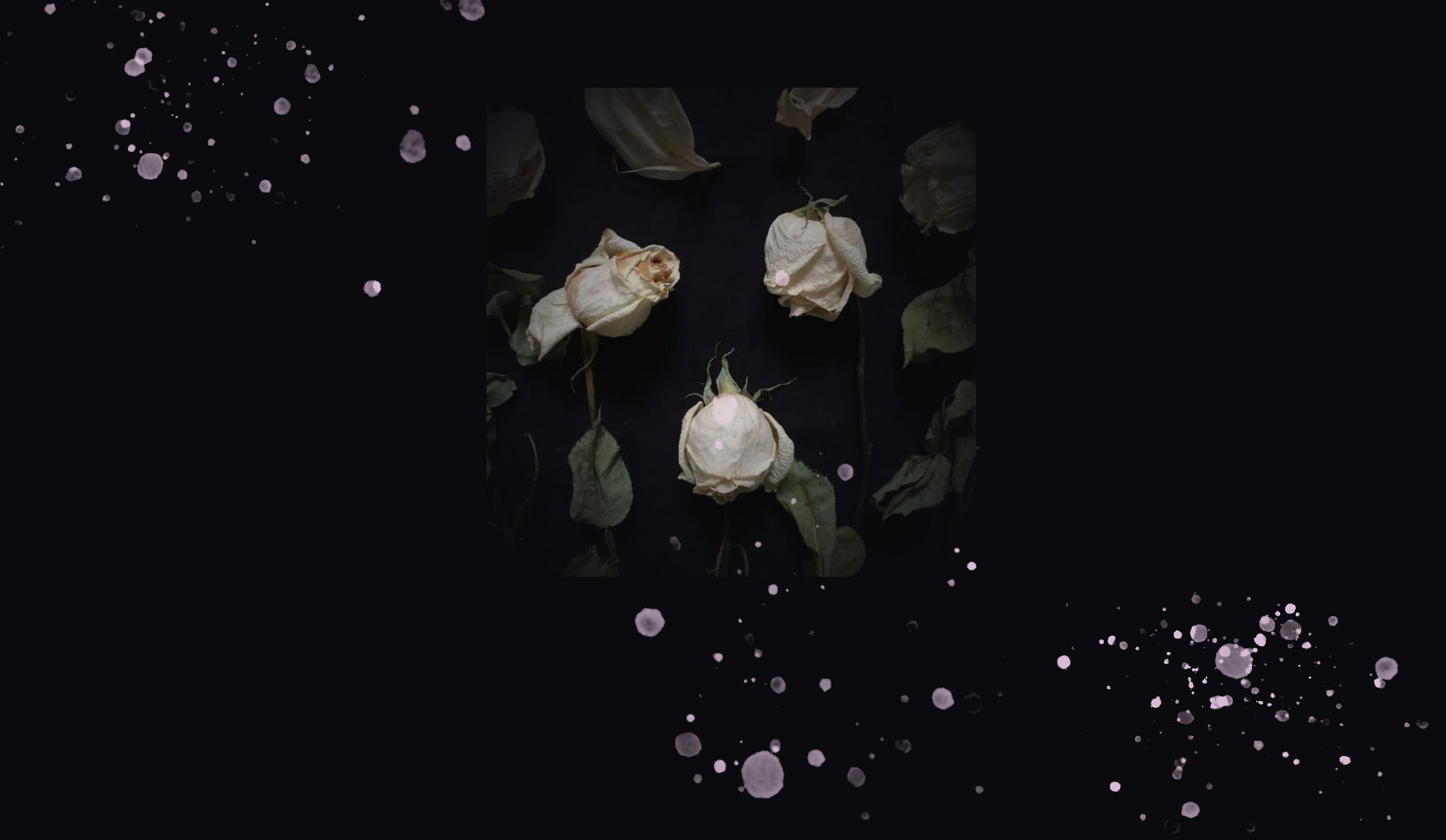 Sally熙的个人主页（背景预览） - 主页背景设置 - 站酷设计师Sally熙原创素材 - 站酷ZCOOL