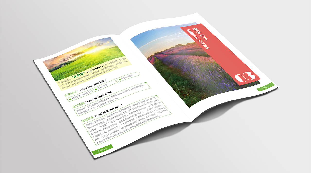 景观草木画册（图ZOTQyMTMwODA=） - 书籍/画册 - 站酷设计师龙哥哥家小公举原创素材 - 站酷ZCOOL