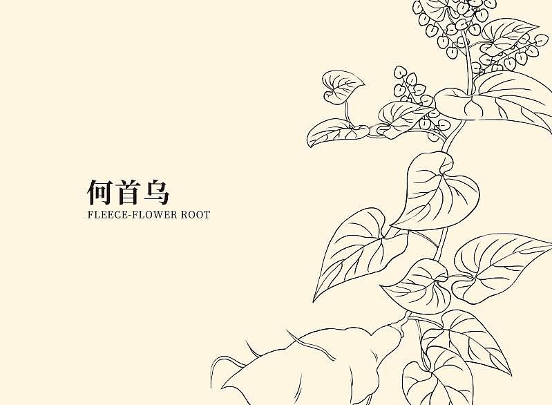 中药洗发水包装（图ZMjc1Njk0NjMy） - 包装 - 站酷设计师阿卡鱼原创素材 - 站酷ZCOOL