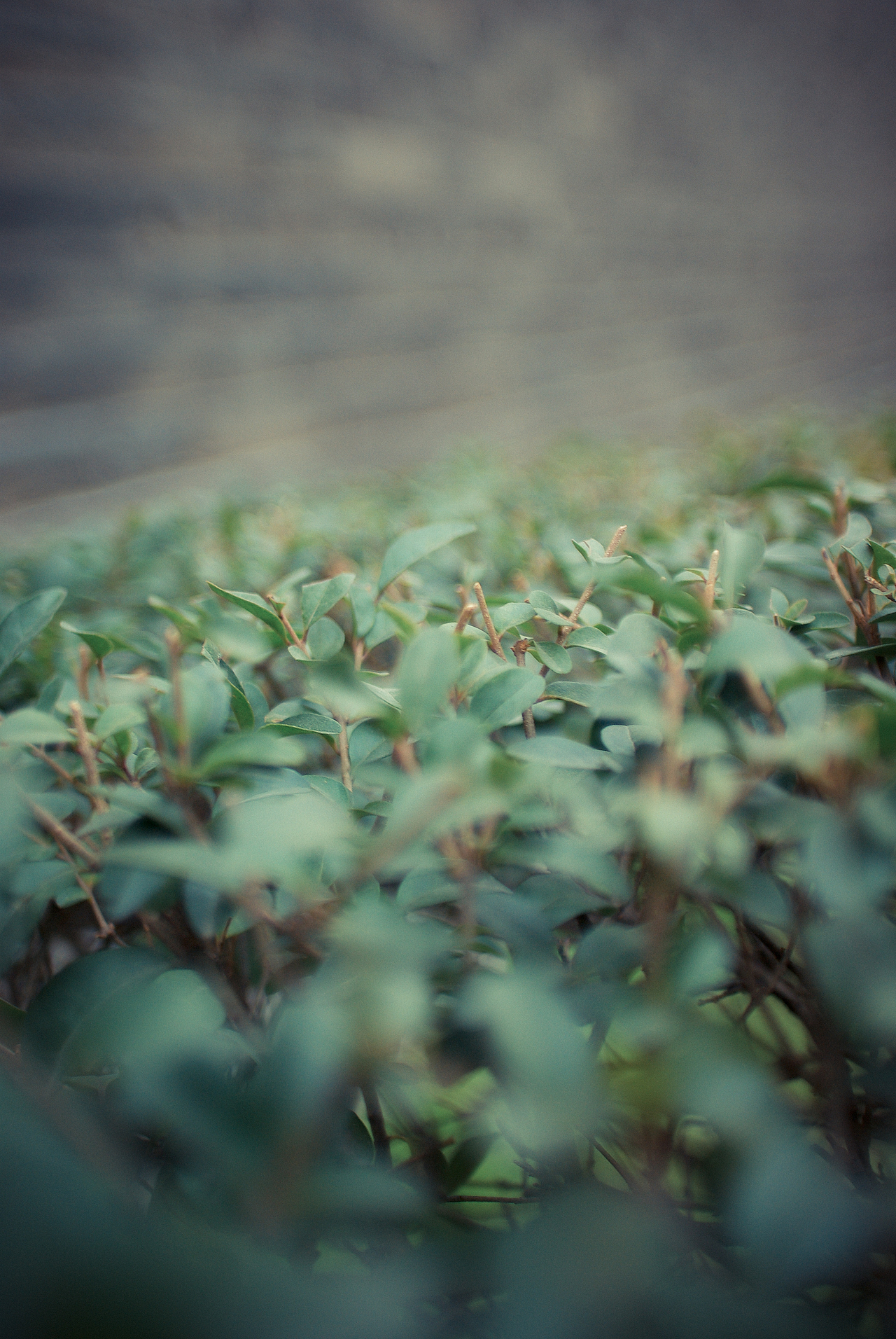 外事北-久违的校园,寻找那熟悉而又淡忘的曾经