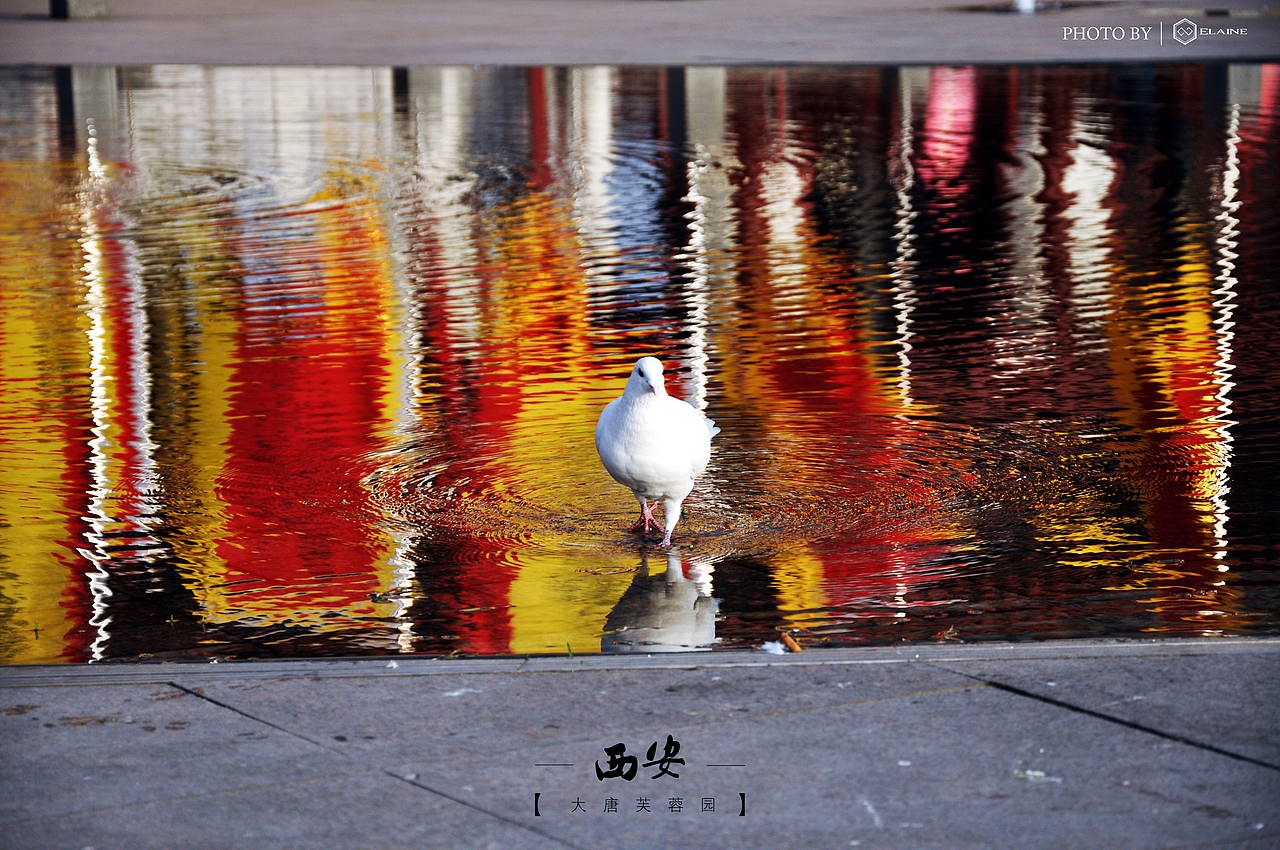 走进历史的尘埃—古都西安