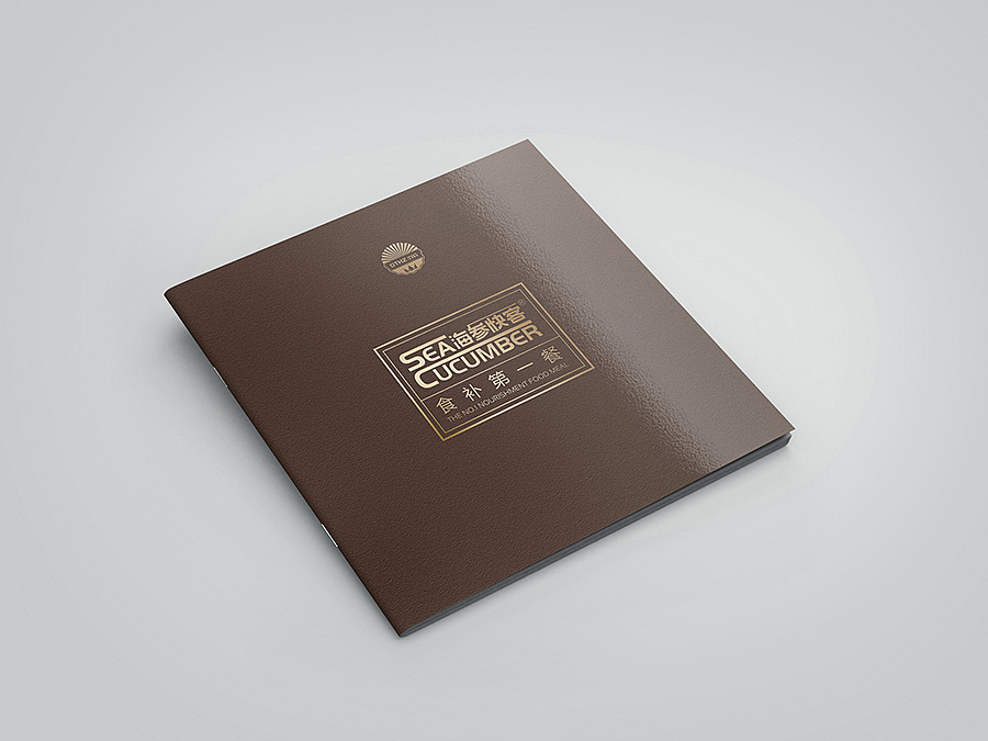 赛狮画册设计集合