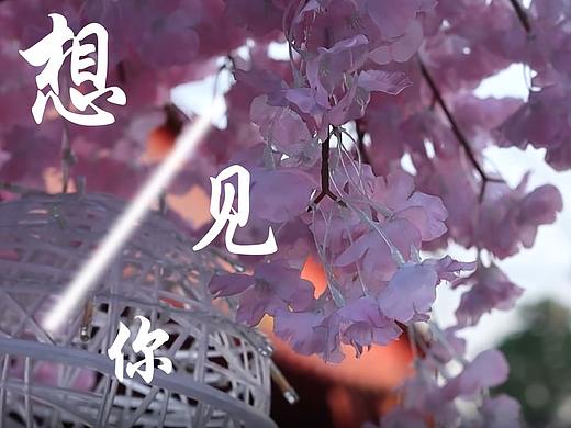 大二作业⭐想见你⭐MV