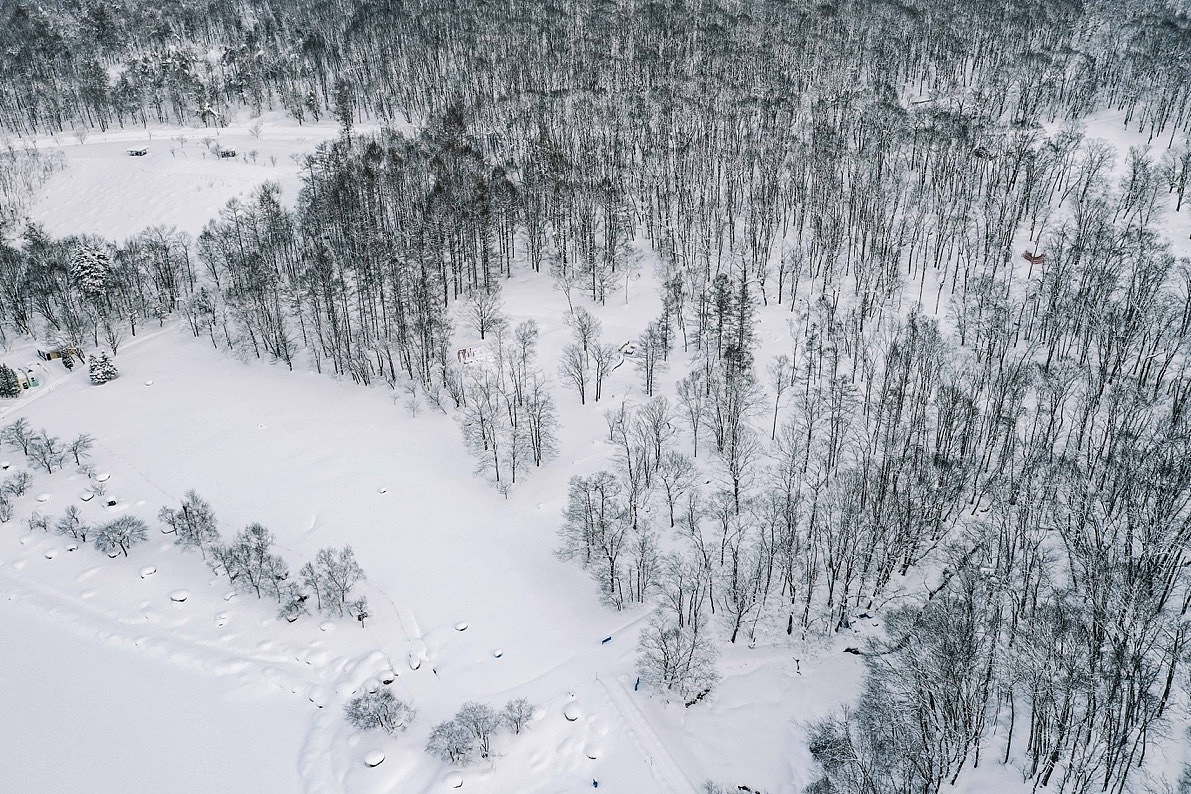 北海道-森林（图ZMTQzOTA5OTI4） - 风光摄影 - 站酷设计师DukeHuang原创素材 - 站酷ZCOOL