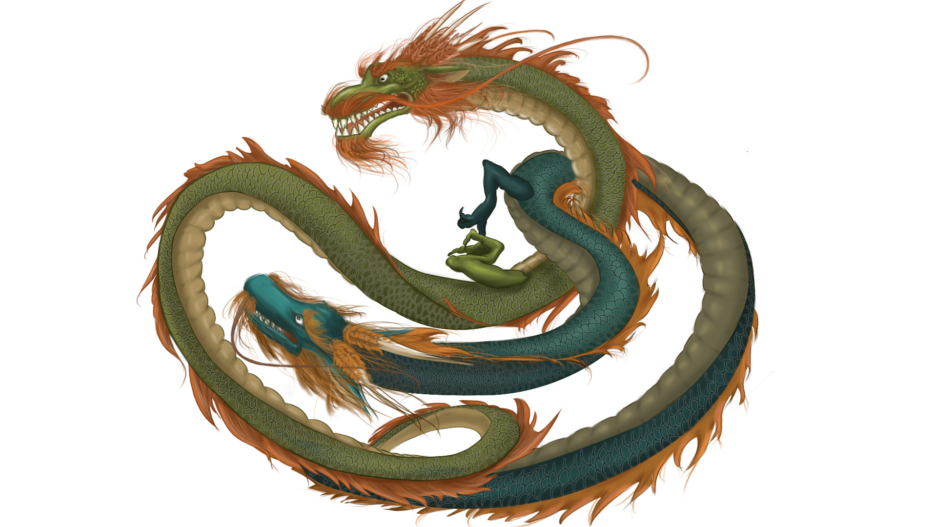 《双龙》插画动画