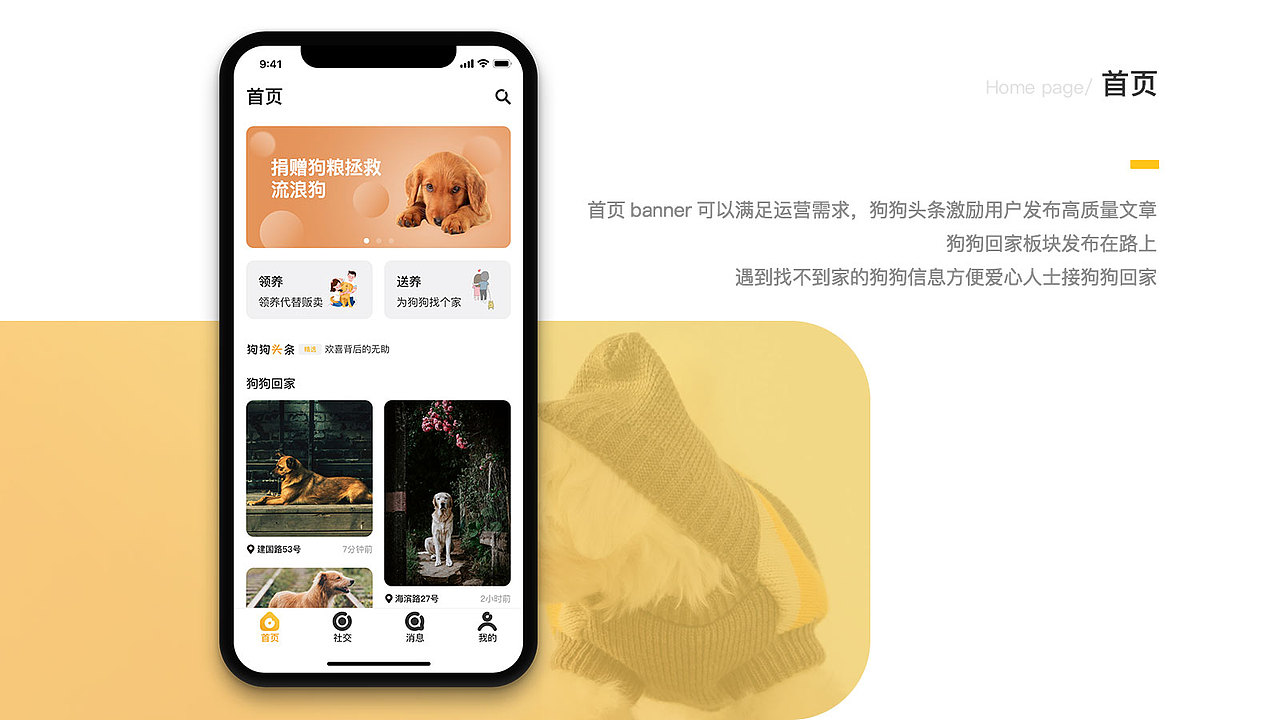 犬加 —— 它们缺个家,家里缺个它