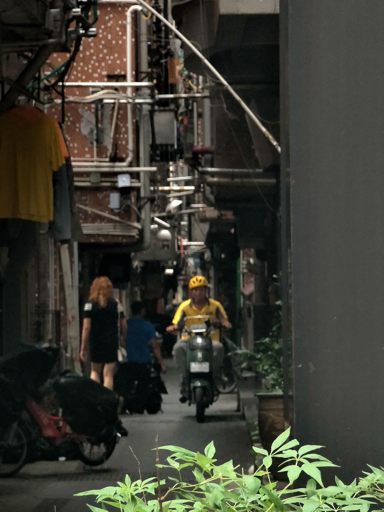 #定格# 生活的小东西