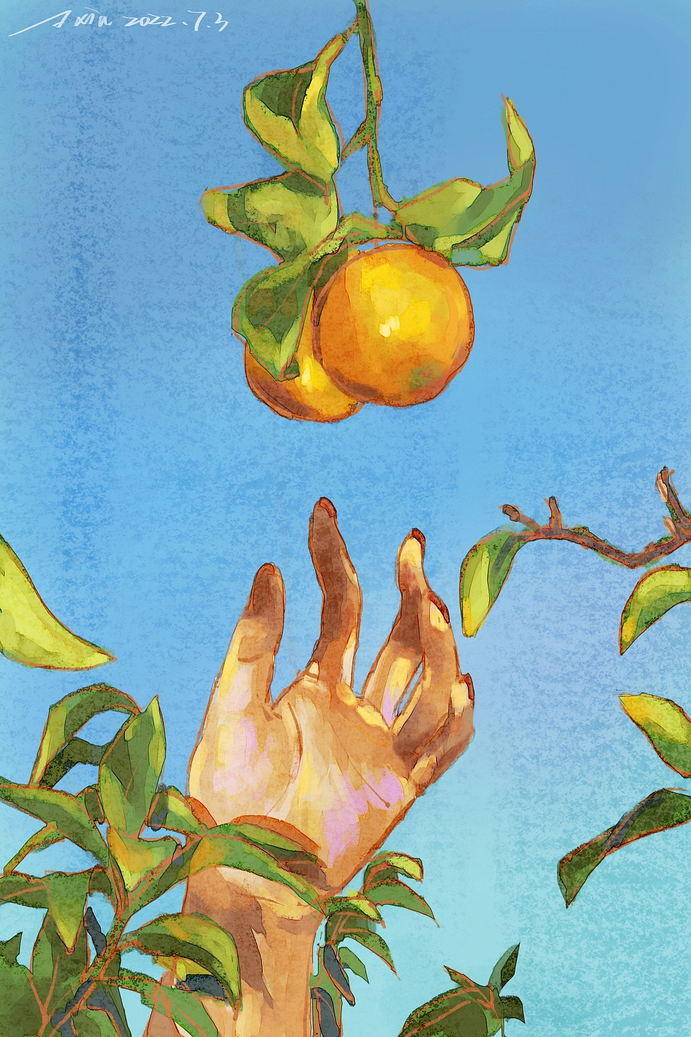 日涂打卡练习(6月7月合集)