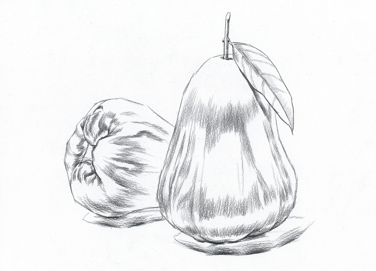 莲雾绘画香蕉步骤