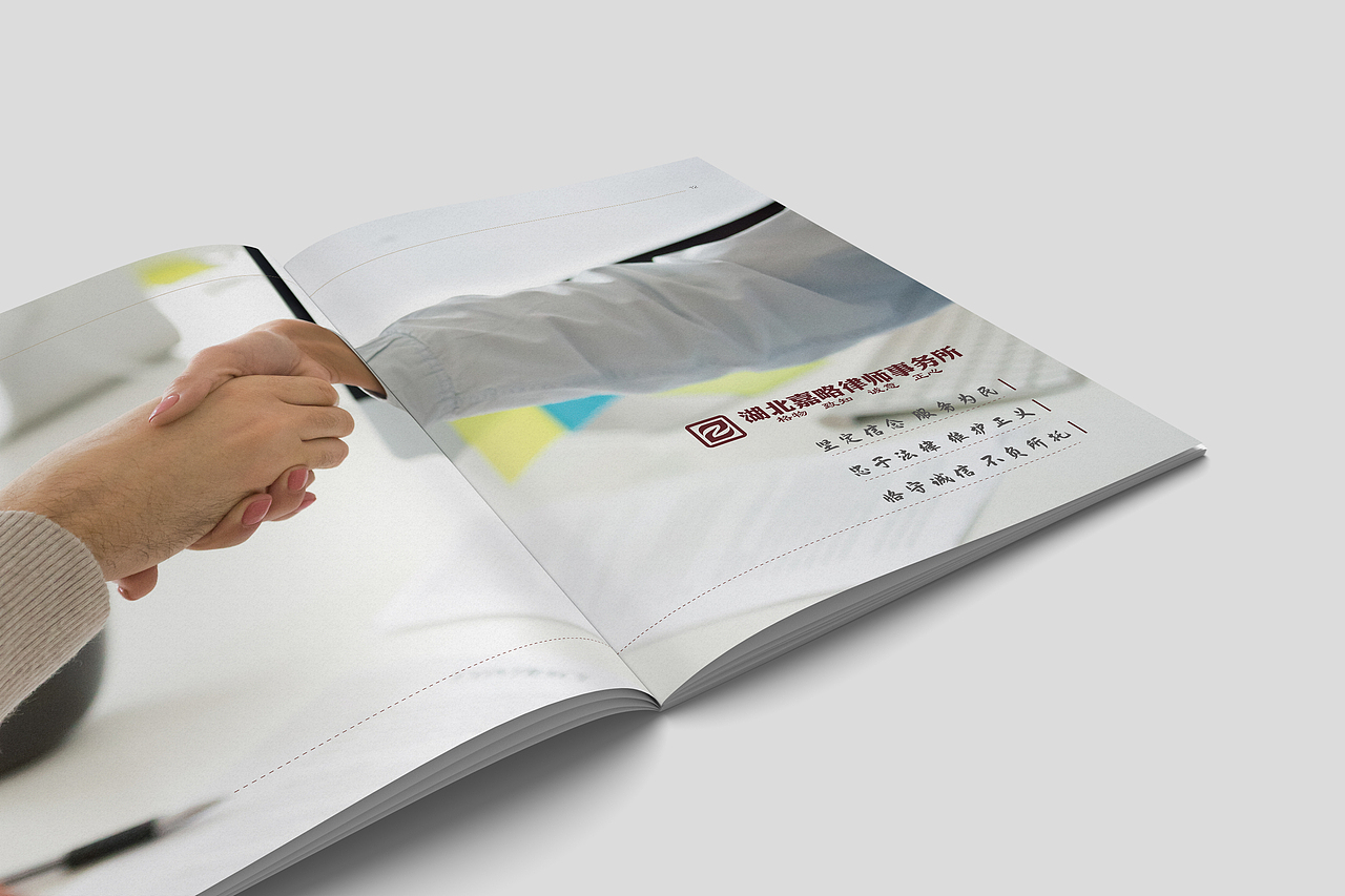 企业法律风险防控和商事诉讼画册