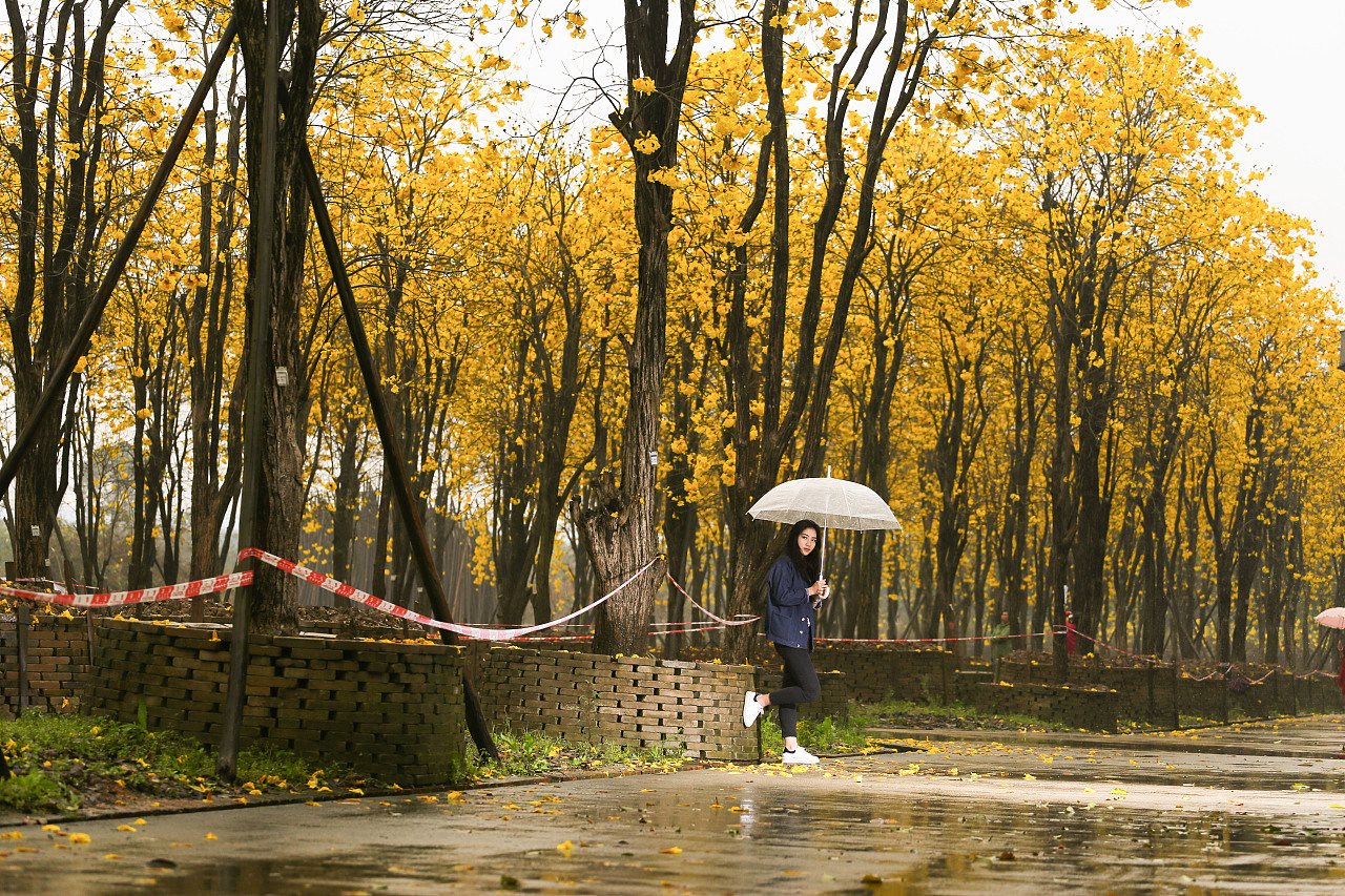 三月的风景|摄影|人像摄影|雨中慢步 - 原创作品 - 站酷 (zcool)