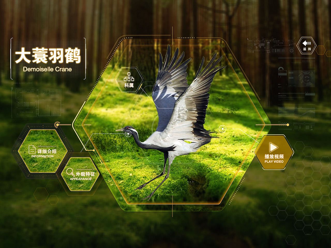 一组动物触摸屏展览（图ZMTQ0NDkyMzQw） - 其他UI - 站酷设计师赵梓辰原创素材 - 站酷ZCOOL