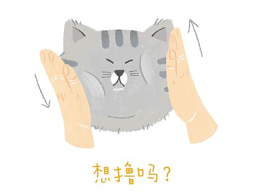 喵喵喵