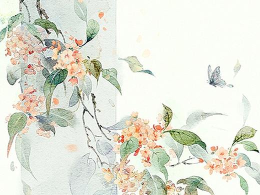 近期的花花