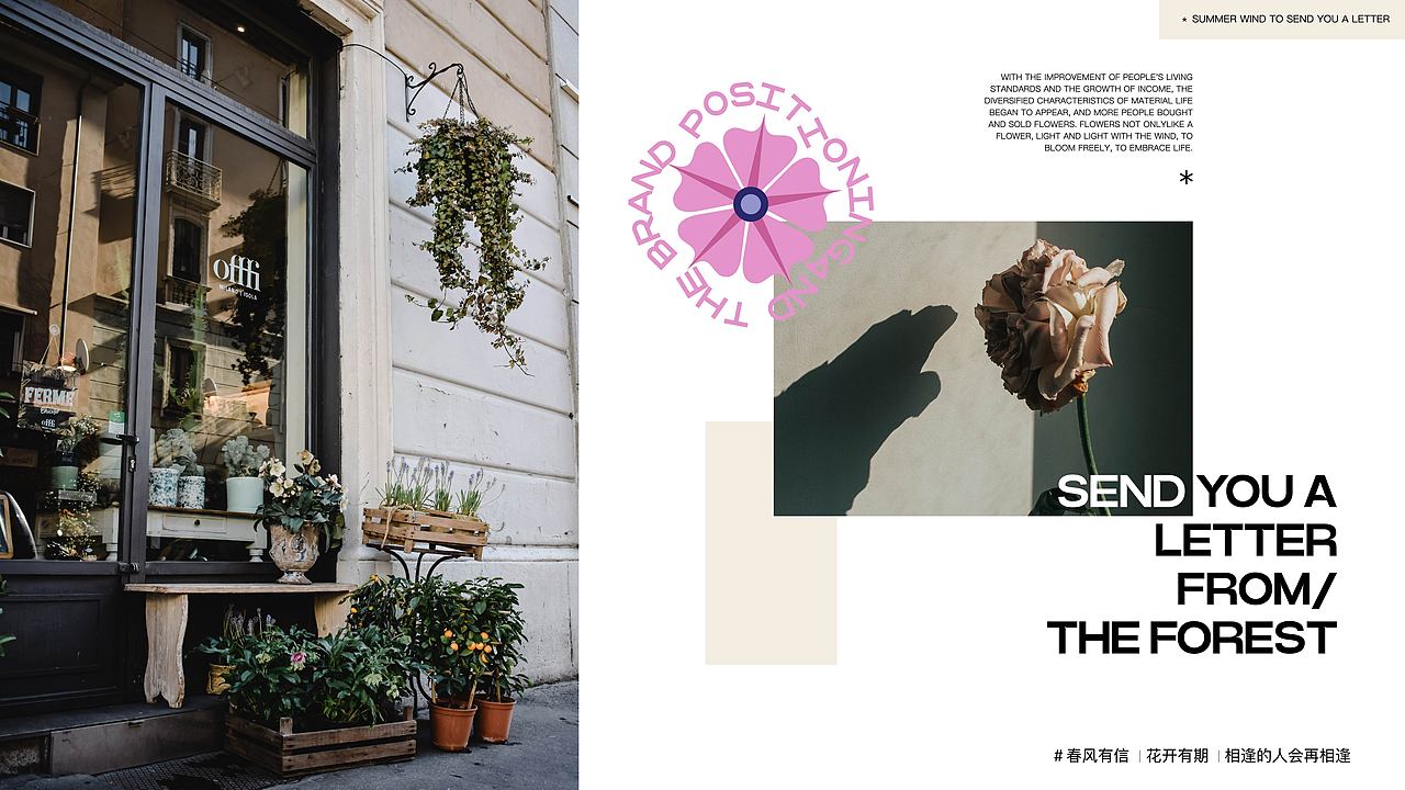 求职|应届毕业生|2023个人作品集