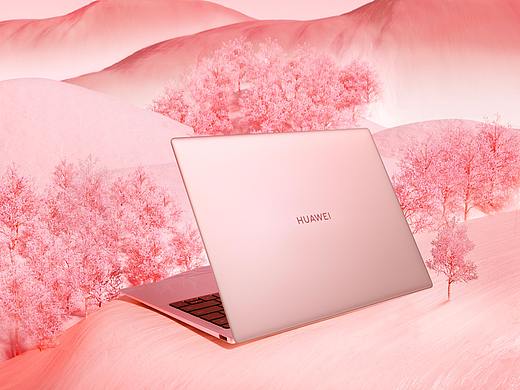 2020华为MateBook X Pro预售海报