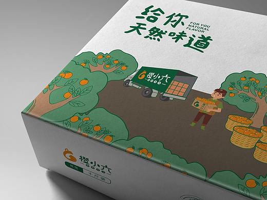 橙小六-橙子包装