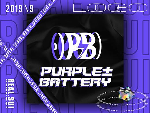 PurpleBattery 电池厂2.0品牌