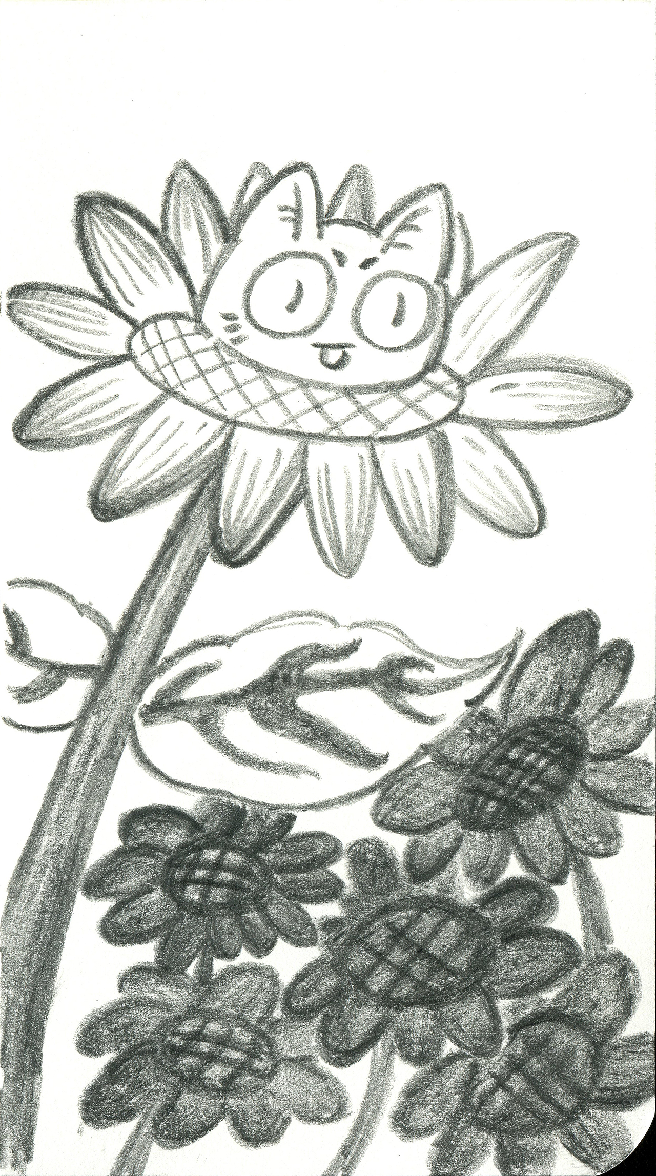 毛绒绒的铅笔画……