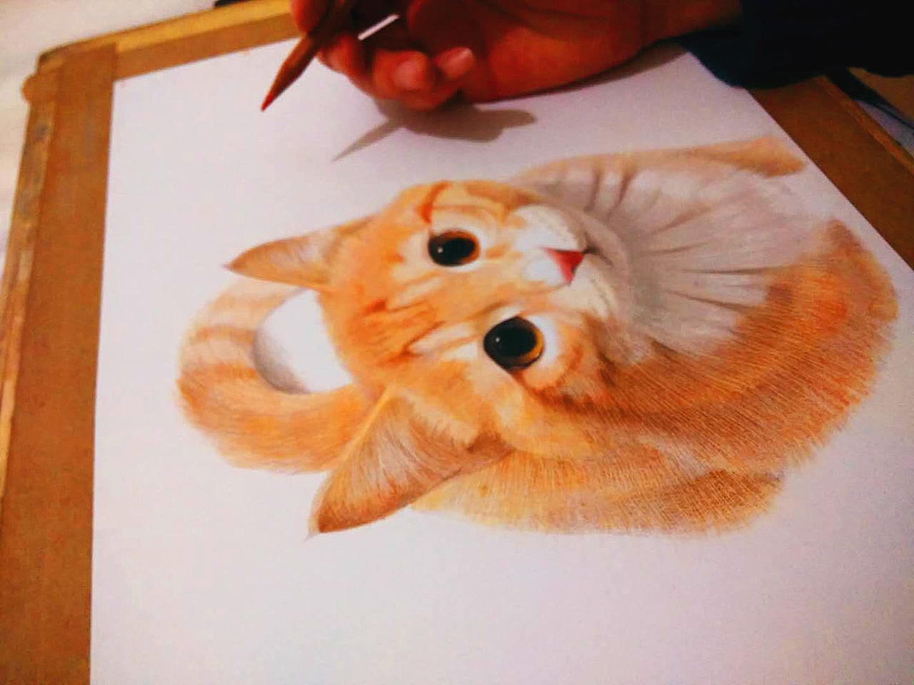 小橘猫（图ZMTA1NjEwMzIw） - 绘画 - 站酷设计师李少侠原创素材 - 站酷ZCOOL
