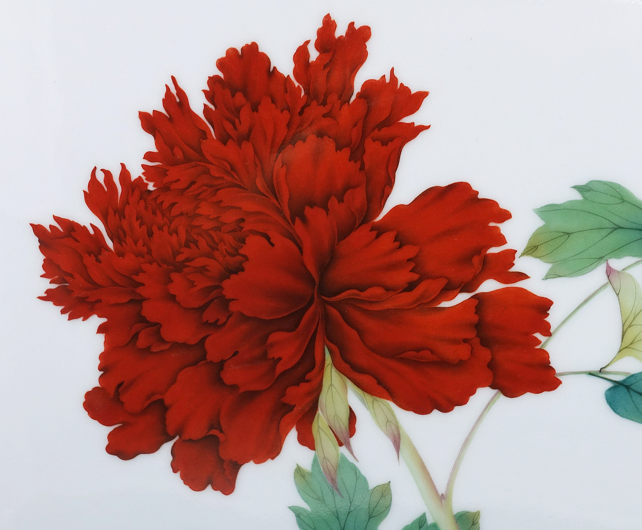 临蒋廷锡百种牡丹谱之朱砂映日